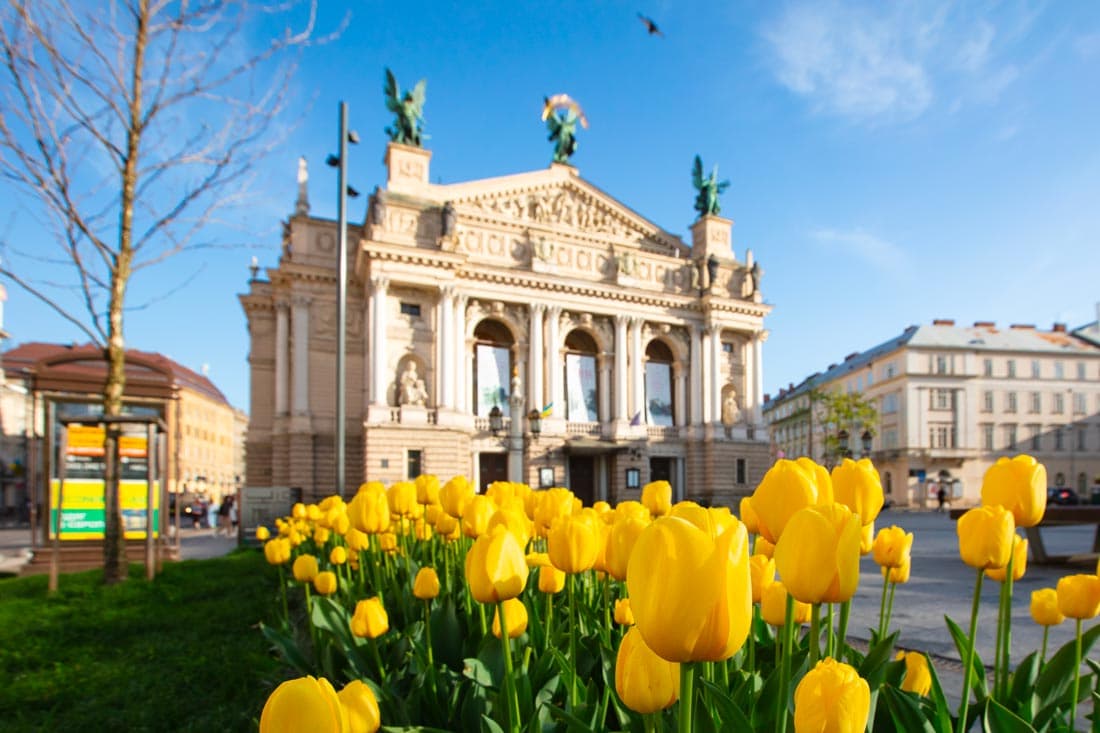 Opéra de Lviv entouré de tulipes