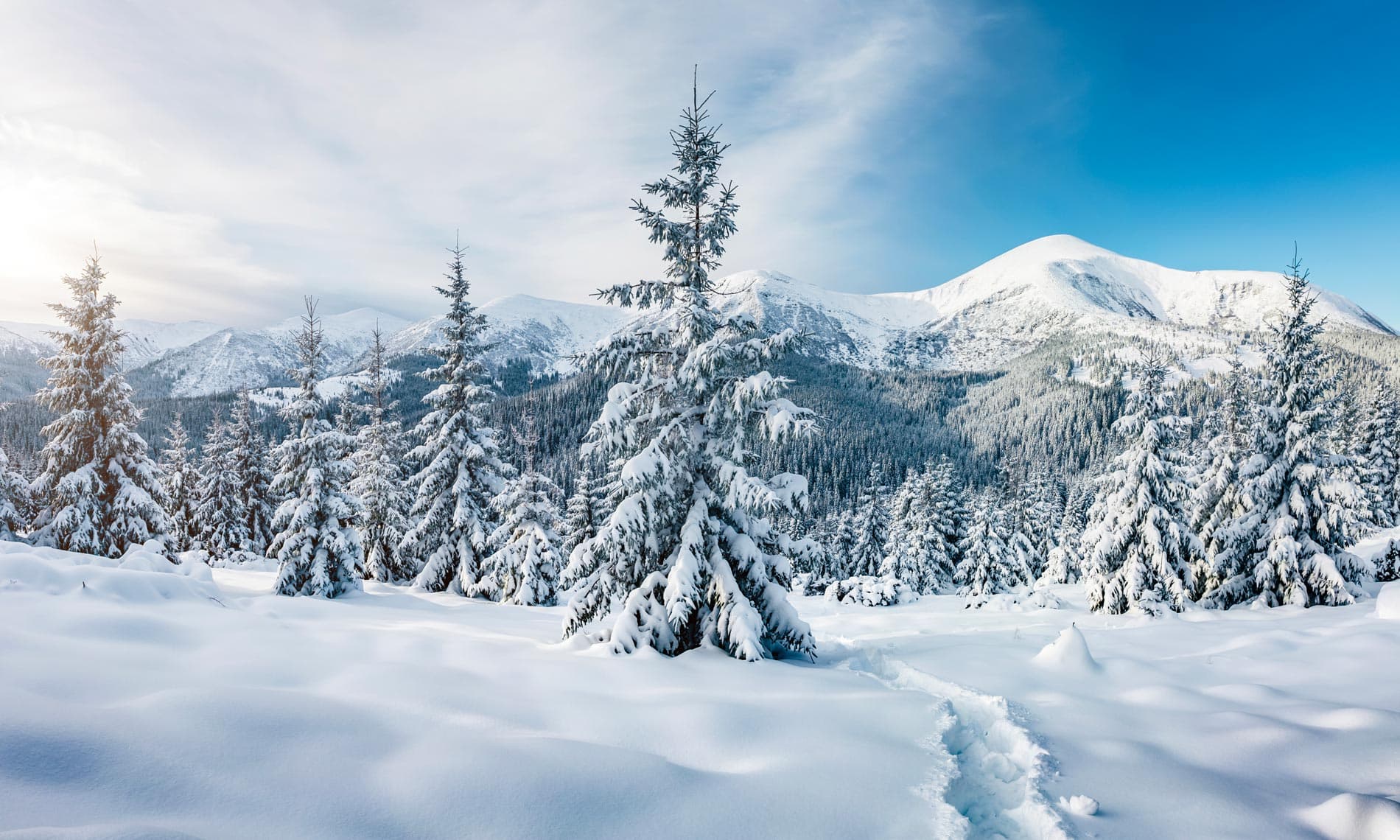 Paysage hivernal enneigé en Ukraine